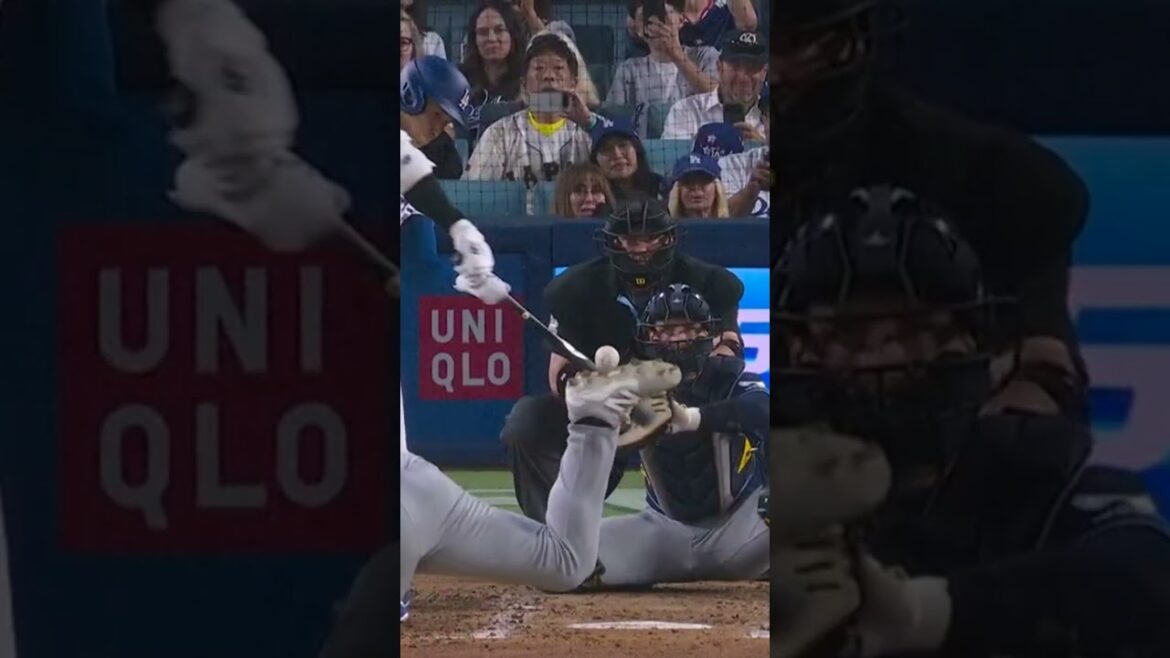 Jonron solitaire de Shohei Ohtani
