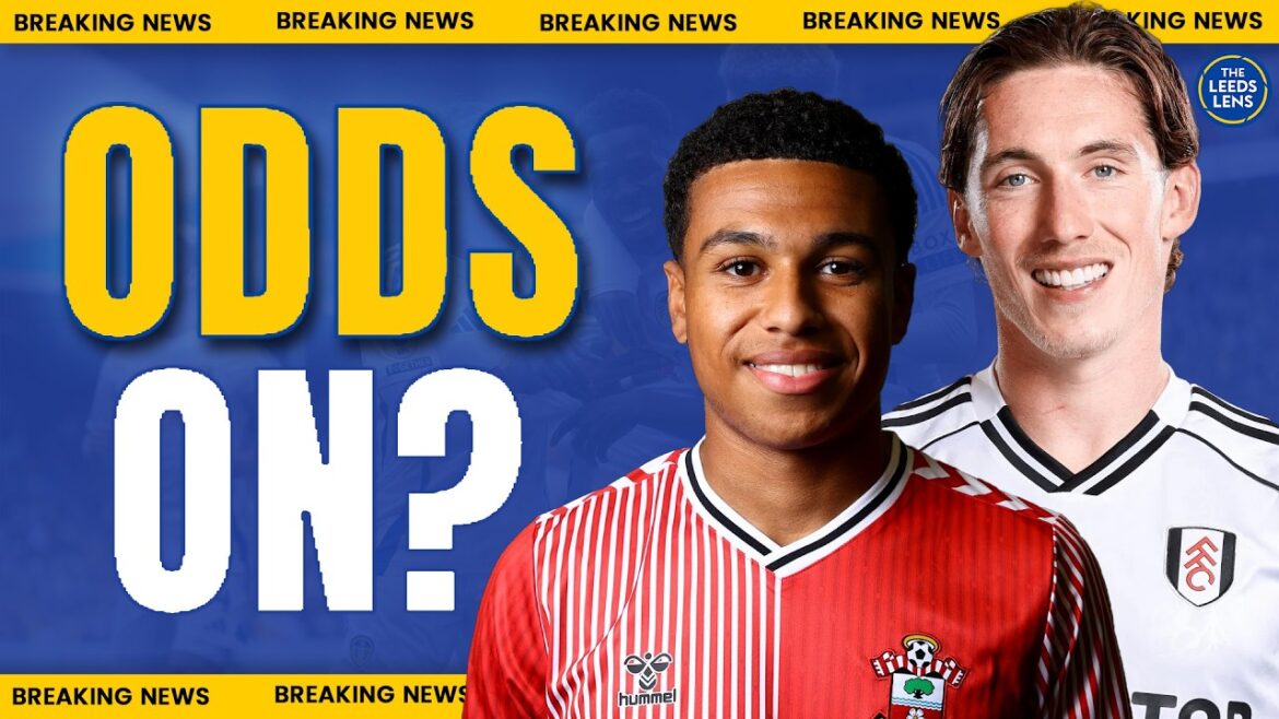 Wilson Transfert Boost! | Karité Charles Dernières | Leeds à Sue Leicester ? | Actualités Leeds United Wilson Transfert Boost! | Karité Charles Dernières | Leeds à Sue Leicester ? | Actualités Leeds United