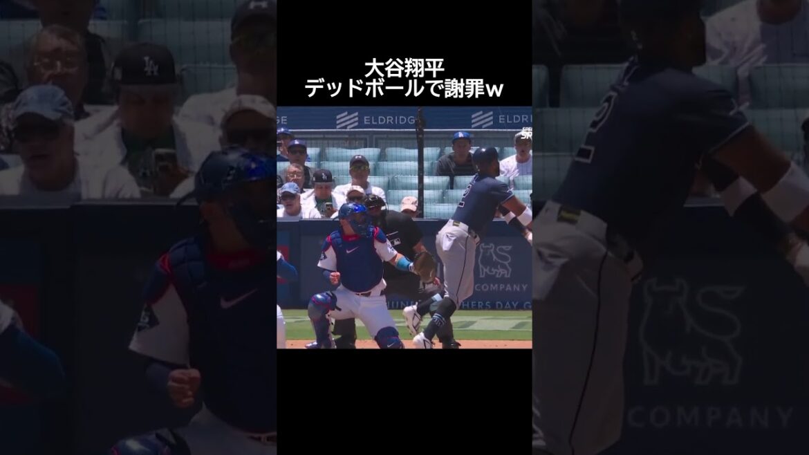 Shohei Otani s'excuse pour le ballon mort ! #Baseball #mlb #Shohei Otani