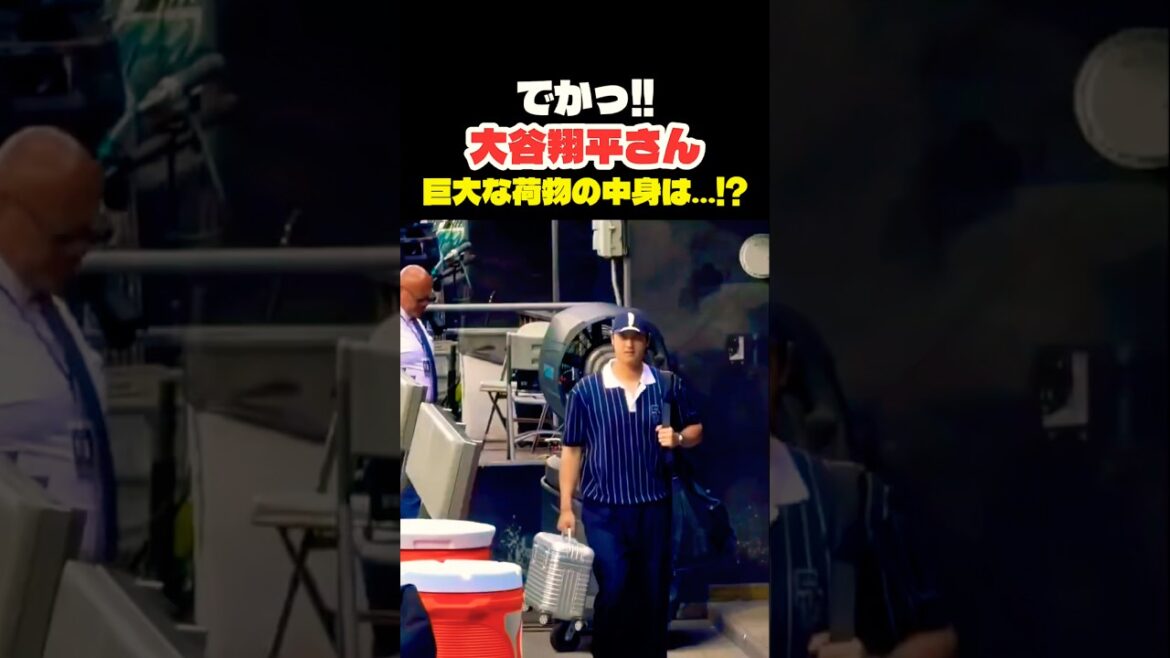 Shohei Otani Qu’y a-t-il dans son énorme bagage ? 😳 #Shohei Ohtani #mlb #shorts #dodgers #Dodgers #Baseball #ohtani #baseball Shohei Otani Qu'y a-t-il dans son énorme bagage ? 😳 #Shohei Ohtani #mlb #shorts #dodgers #Dodgers #Baseball #ohtani #baseball