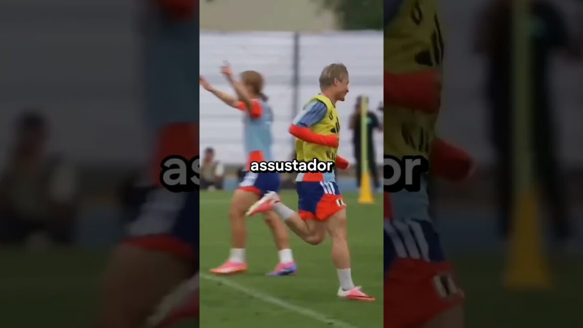 LE JAPON FAIT PEUR LA COUPE ! ET VOUS POUVEZ TRAVERSER LE CHEMIN DU BRÉSIL 😳🇯🇵🇧🇷 LE JAPON FAIT PEUR LA COUPE ! ET VOUS POUVEZ TRAVERSER LE CHEMIN DU BRÉSIL 😳🇯🇵🇧🇷