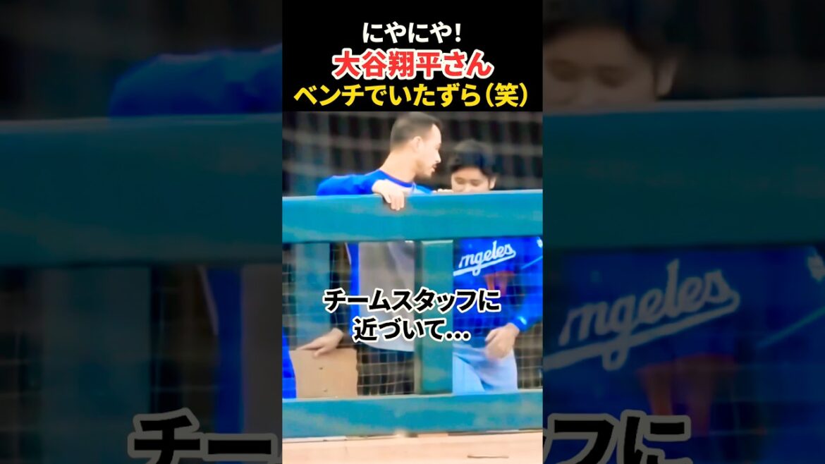 M. Otani malicieux sur le banc 🤣 #Shohei Ohtani #mlb #shorts #dodgers