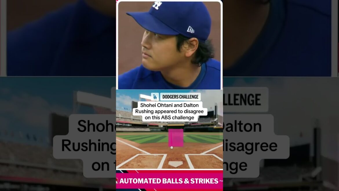 Shohei a fini par avoir raison après l'examen.