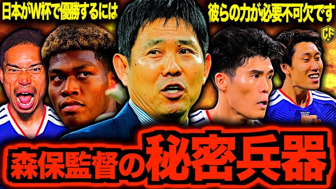 [Vers la meilleure vue]Il est la seule personne qui est la personne la plus importante pour que le Japon remporte la Coupe du monde.