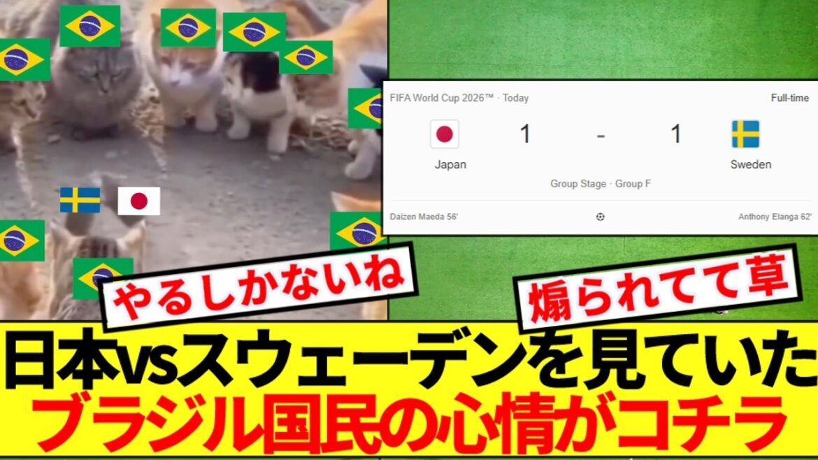 [Réaction du Brésil]Cela semble être le sentiment du peuple brésilien qui regarde le Japon contre la Suède mdr