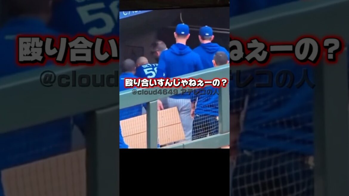 Se précipiter pour traquer le talentueux lanceur Shohei Otani ! Betts et Muncy se penchent sur eux deux. Se précipiter pour traquer le talentueux lanceur Shohei Otani ! Betts et Muncy se penchent sur eux deux.