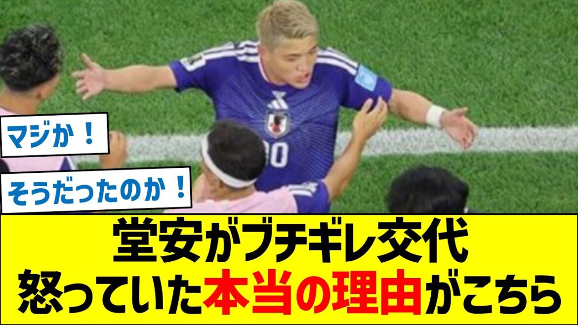 [La vérité]Ritsu Doan a été remplacé lors du match contre la Suède, et voici la vraie raison pour laquelle il était en colère.