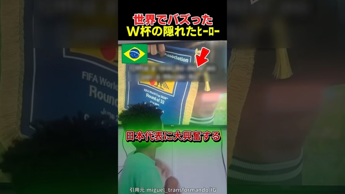 Les héros cachés de la Coupe du monde devenus viraux dans le monde entier Les héros cachés de la Coupe du monde devenus viraux dans le monde entier