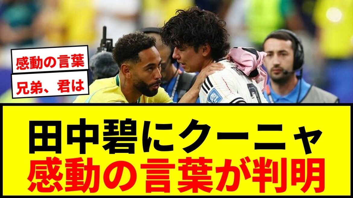[Choquant]Les paroles de Cunha à Aoi Tanaka sont révélées ! "Qu'est-ce qui ne va pas, frère ? Tu..." La raison des larmes et la vérité touchante
