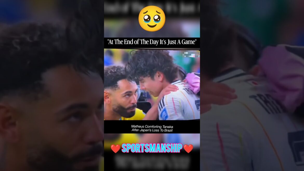 Matheus Cunha réconforte Ao Tanaka après une défaite déchirante de dernière minute 💔⚽ #shorts #football #brasil Matheus Cunha réconforte Ao Tanaka après une défaite déchirante de dernière minute 💔⚽ #shorts #football #brasil