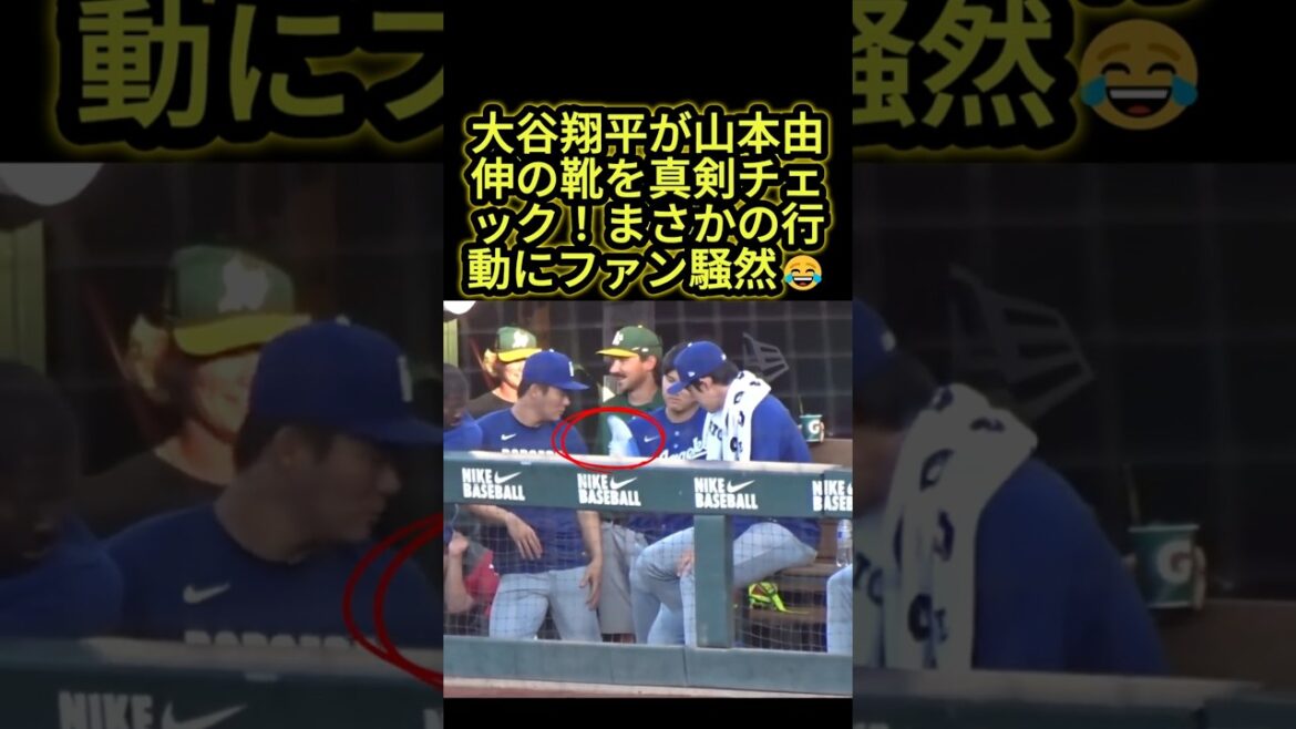Shohei Otani vérifie sérieusement les chaussures de Yoshinobu Yamamoto ! Les fans sont en émoi face à son action inattendue 😂 #Shohei Otani #Dodgers #mlb