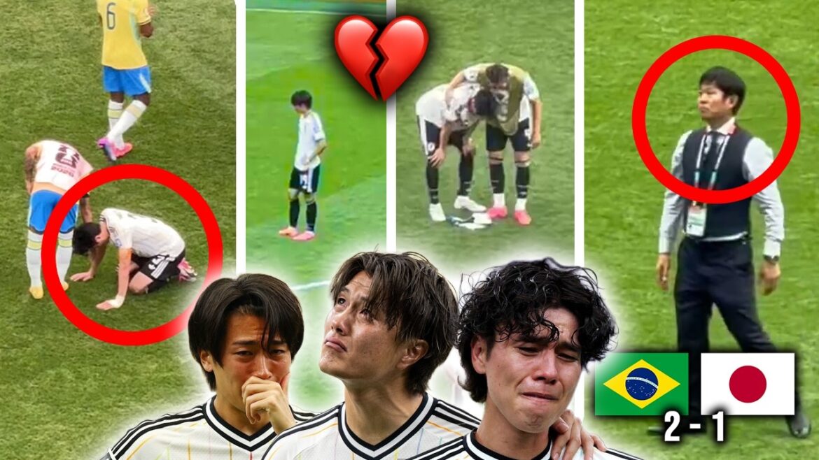 Déchirant! Répartition des joueurs et des entraîneurs japonais après l’élimination de la Coupe du monde contre le Brésil 😭💔 Déchirant! Répartition des joueurs et des entraîneurs japonais après l'élimination de la Coupe du monde contre le Brésil 😭💔