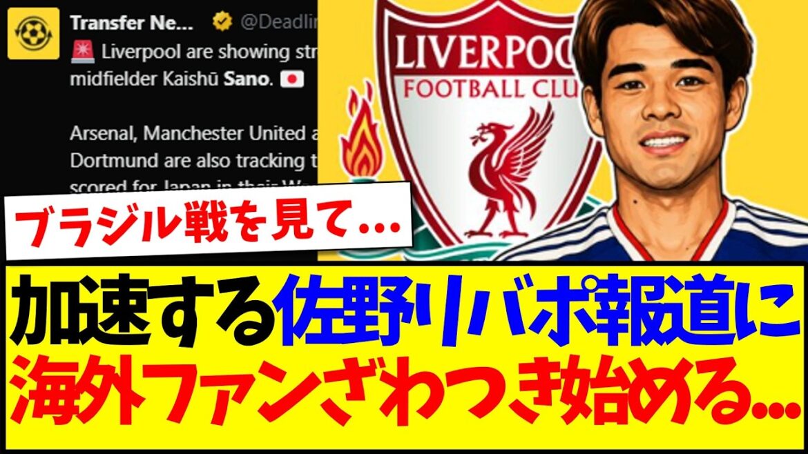 [Réactions à l'étranger]Voici les réactions des fans étrangers de Premier League qui commencent à s'enthousiasmer pour le transfert de Kaishu Sano à Liverpool !