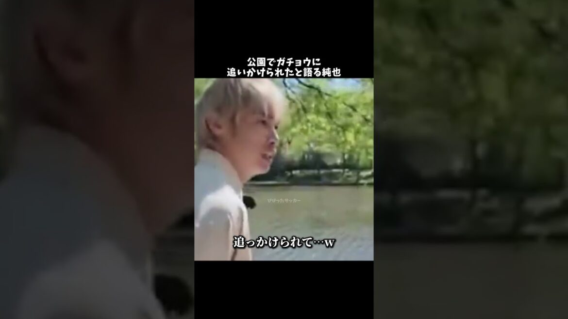 Junya parle d'avoir été poursuivi par une oie dans le parc mdr #Junya Ito #Équipe nationale de football du Japon #shorts