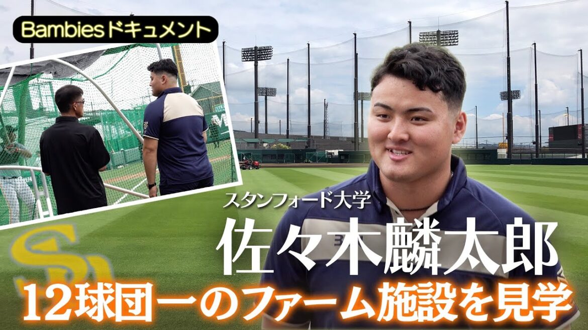 [Rintaro Sasaki se rend dans la meilleure ferme pour 12 équipes | Document]#Fukuoka SoftBank Hawks #sbhawks #professional baseball #bambies