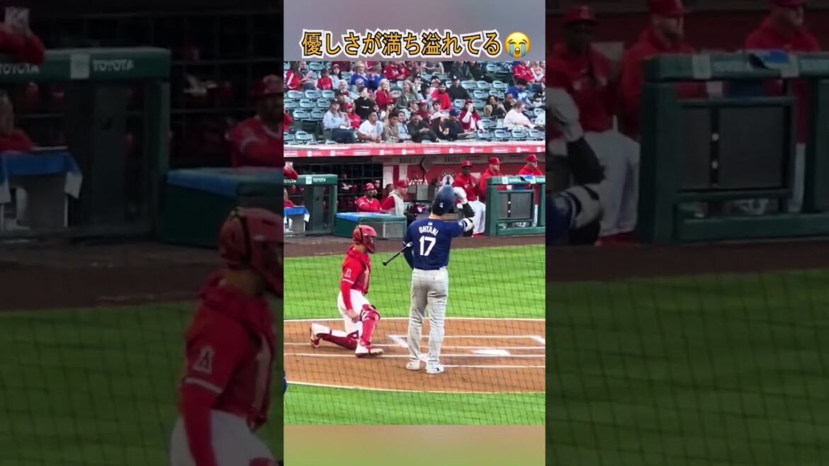 Shohei Otani n’oubliera jamais ses vieux amis, professeurs et personnes qui l’ont soutenu. Shohei Otani n'oubliera jamais ses vieux amis, professeurs et personnes qui l'ont soutenu.