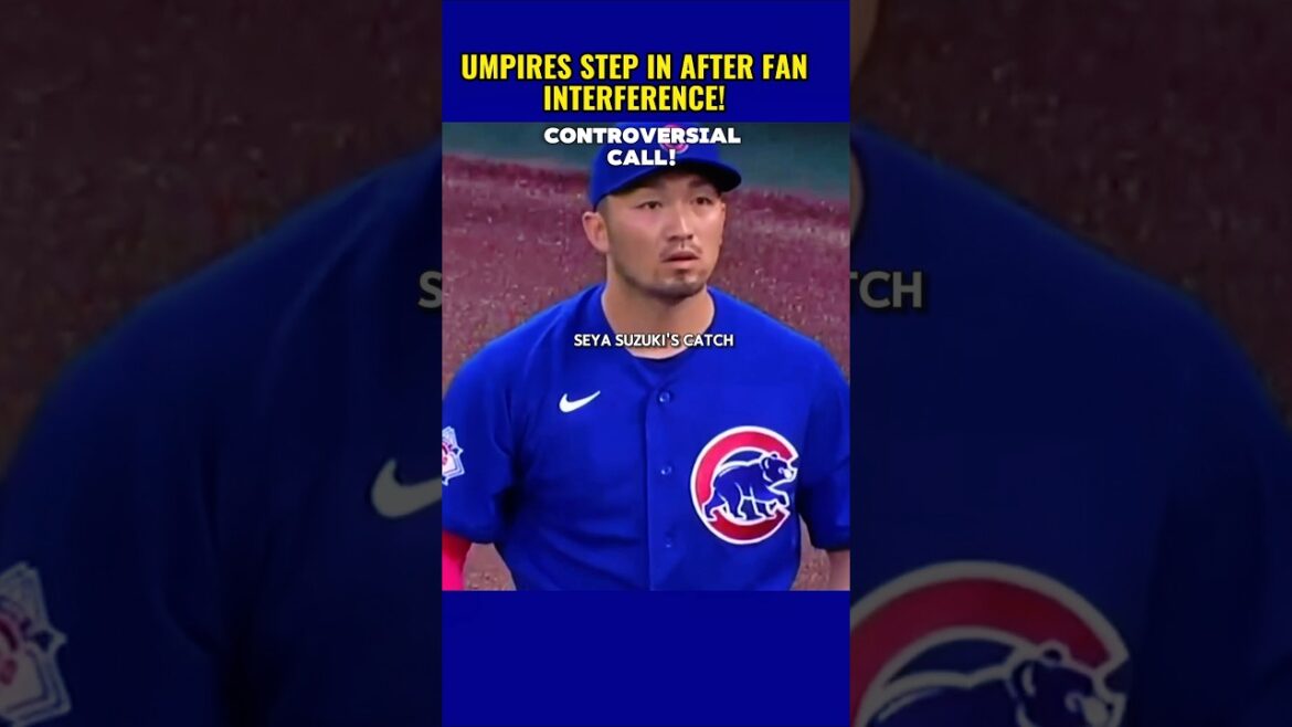 L'INTERFÉRENCE DES FAN ÉTONNE LE JEU ! #baseball #shortfeed #homerunchallenge