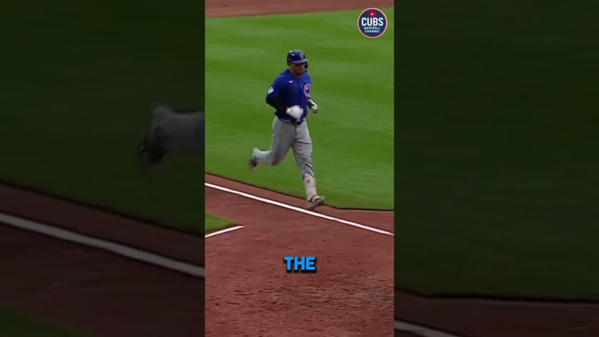 SUZUKI EN MOUVEMENT ? | Chaîne de baseball des Cubs SUZUKI EN MOUVEMENT ? | Chaîne de baseball des Cubs