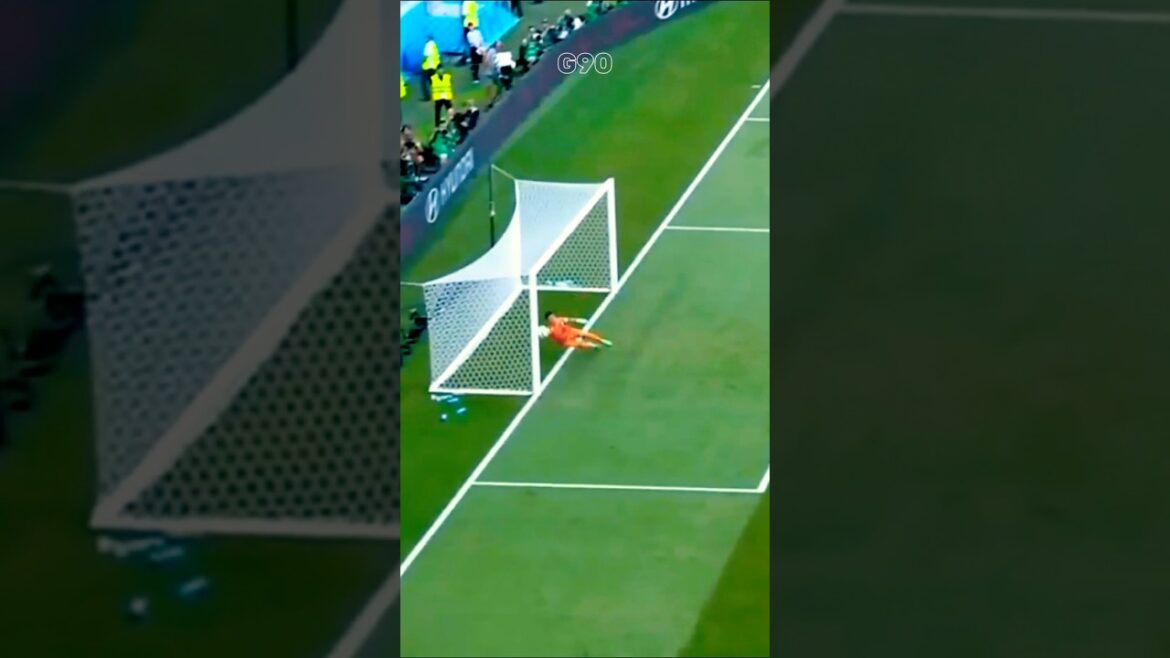 Eiji Kawashima Meilleurs arrêts