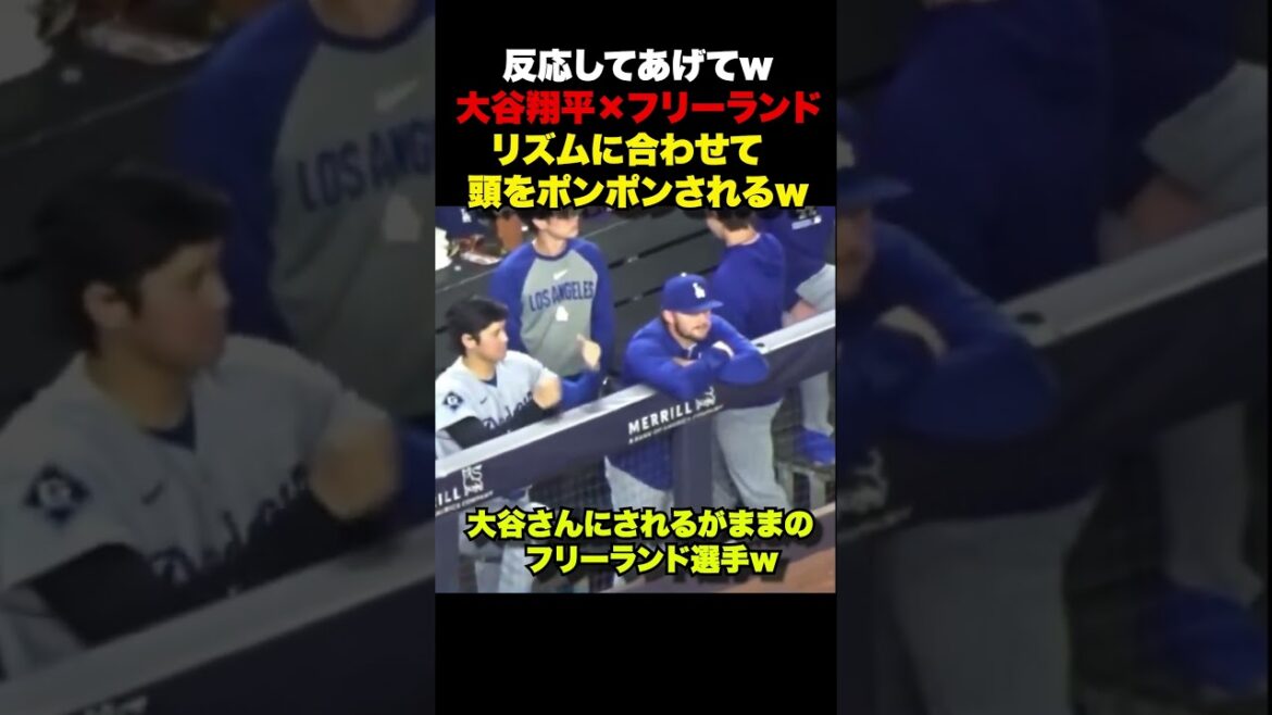 Un joueur laissé à lui-même par Shohei Otani sur le banc mdr Un joueur laissé à lui-même par Shohei Otani sur le banc mdr