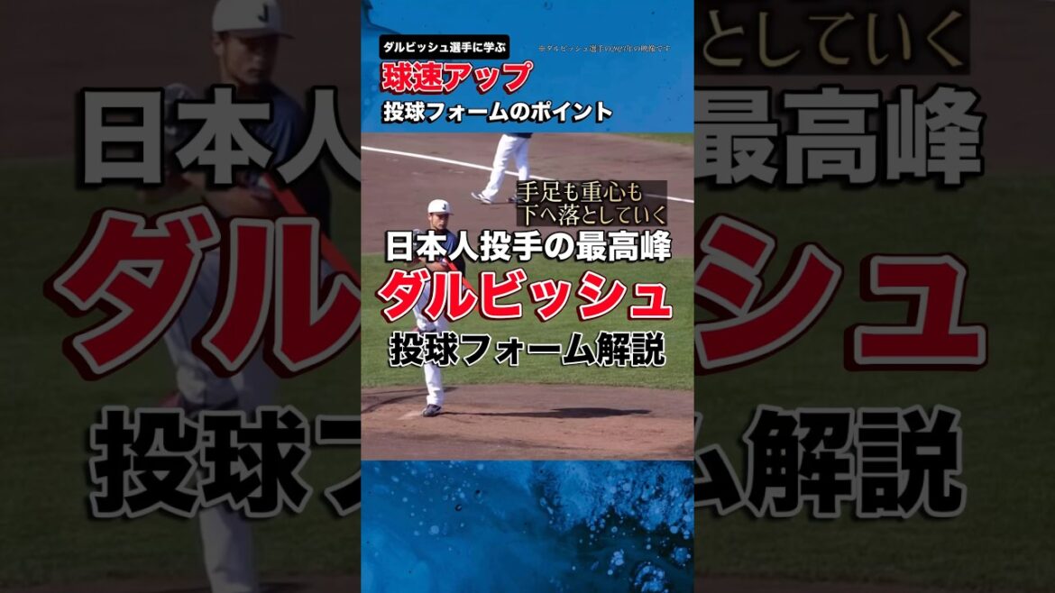 [Darvish]Commentaire du formulaire de pitch 2023