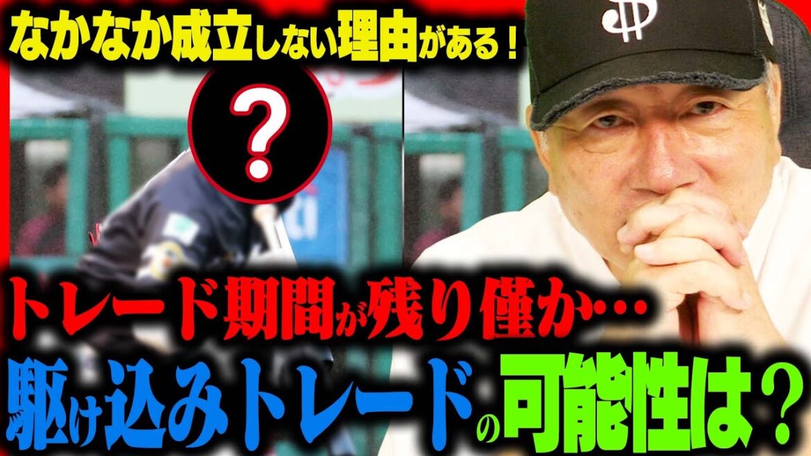 [La date limite des échanges approche !! ︎]Il y a une raison pour laquelle c'est difficile à établir !! ︎Ce joueur est-il le candidat que vous visez ? Yutaka Takagi parle des candidats commerciaux de dernière minute !