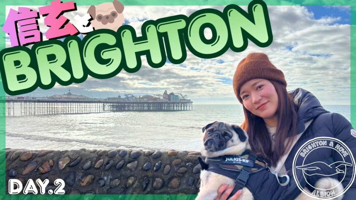 [Brighton Day 2]Rendez-vous dans la boutique populaire avec Kaoru Mitoma ! Promenez-vous dans Brighton, un établissement accueillant les chiens, avec Shingen🐶