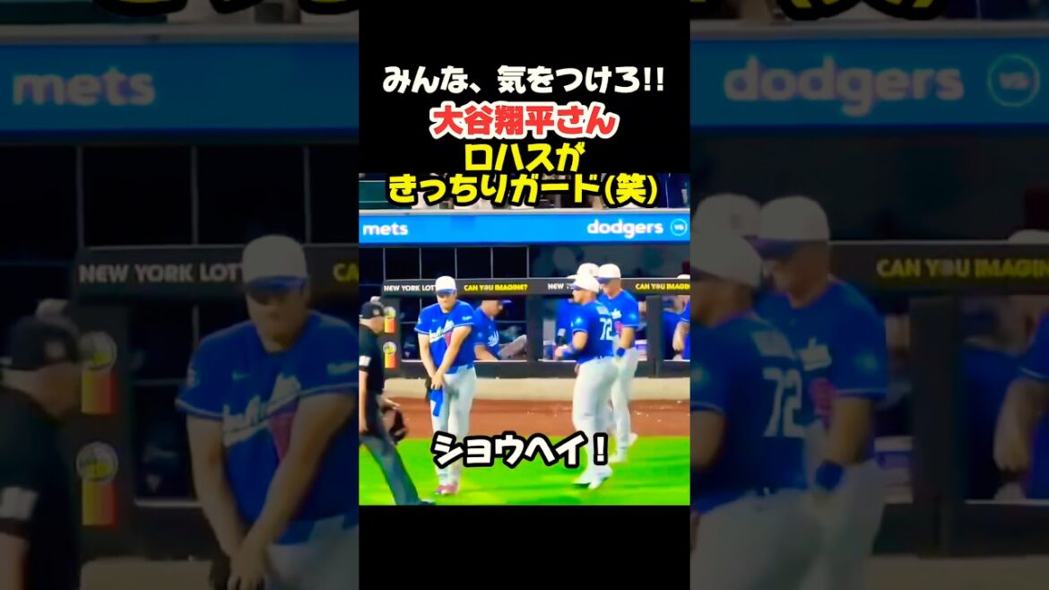 Rojas garde Shohei Ohtani de près 🤣 #Shohei Ohtani #mlb #shorts #dodgers #baseball #ohtani #baseball #pitcher